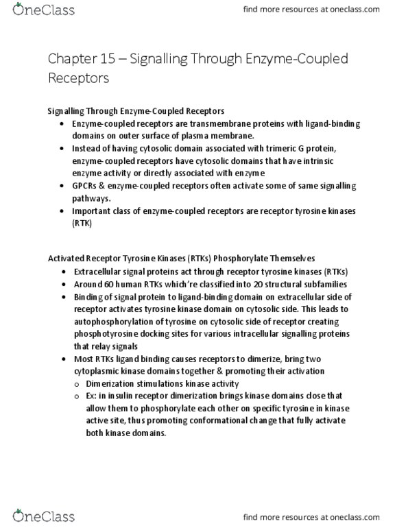 KINE 3012 Chapter Notes - Chapter 8.5: Insulin Receptor, Tyrosine, Cell Membrane thumbnail