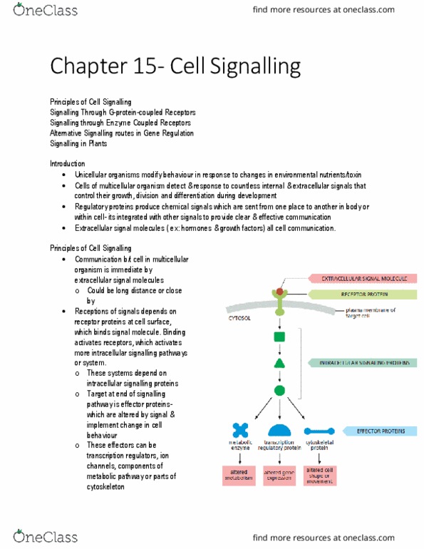KINE 3012 Chapter Notes - Chapter 8.2: Metabolic Pathway, Multicellular Organism, Cytoskeleton thumbnail