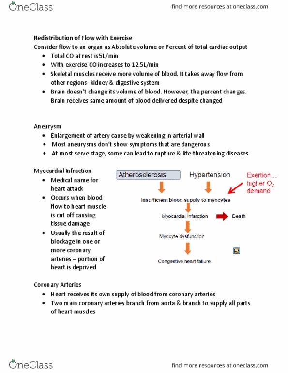 KINE 3012 Chapter Notes - Chapter 1.3: Coronary Artery Disease, Coronary Circulation, Cardiac Output thumbnail