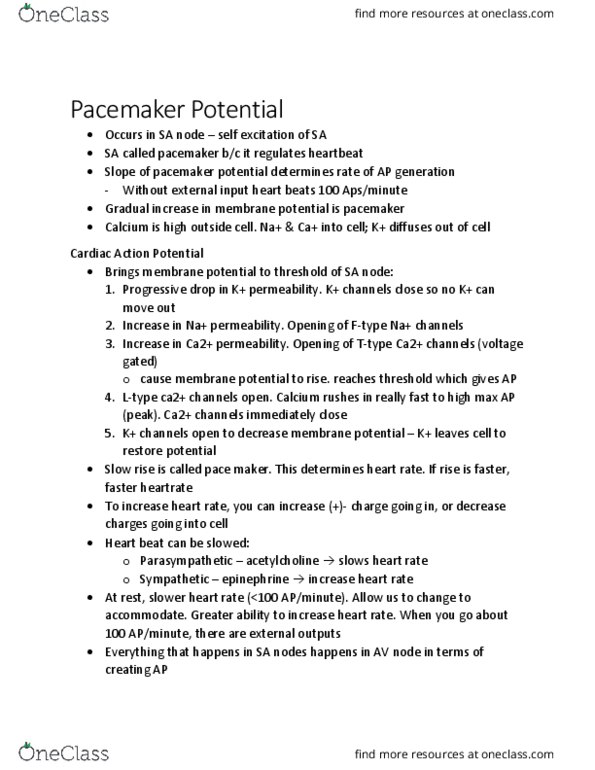 KINE 3012 Chapter Notes - Chapter 1.1: Pacemaker Potential, Atrioventricular Node, Sinoatrial Node thumbnail