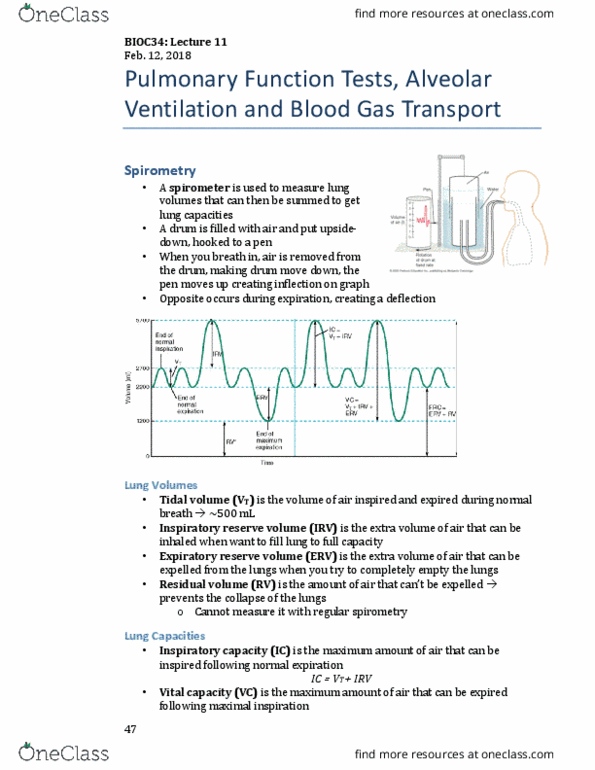 BIOC34H3 Lecture Notes - Lecture 11: Tidal Volume, Functional Residual Capacity, Spirometry thumbnail