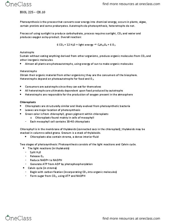 BIOL 225 Lecture Notes - Lecture 13: Thylakoid, Leaf, Light-Independent Reactions thumbnail