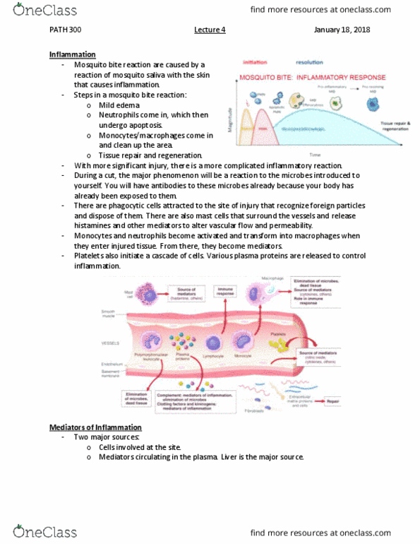 PATH 300 Lecture 4: L4_PATH-300 thumbnail