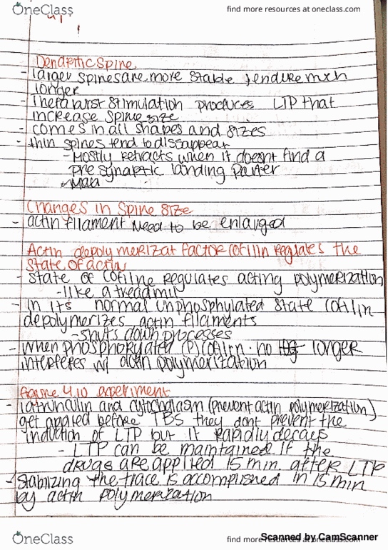 NRSC 4032 Lecture 6: Dendriric Spine thumbnail