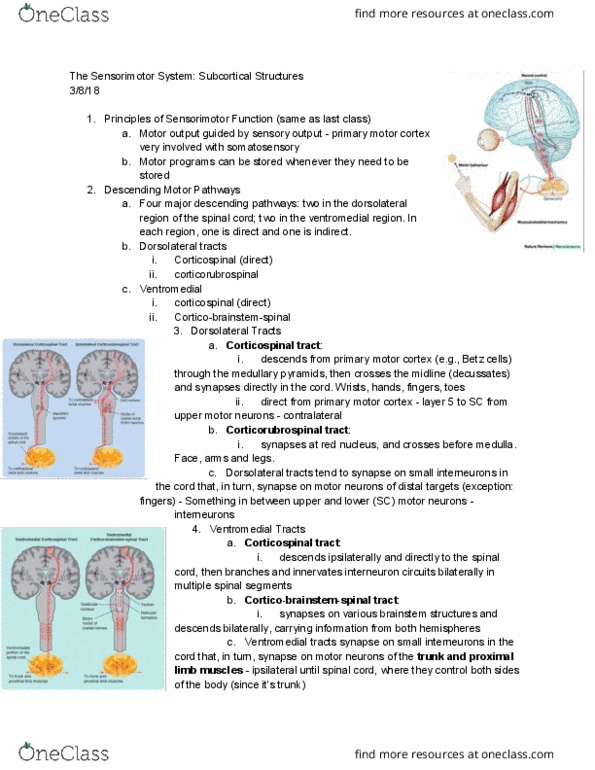 document preview image