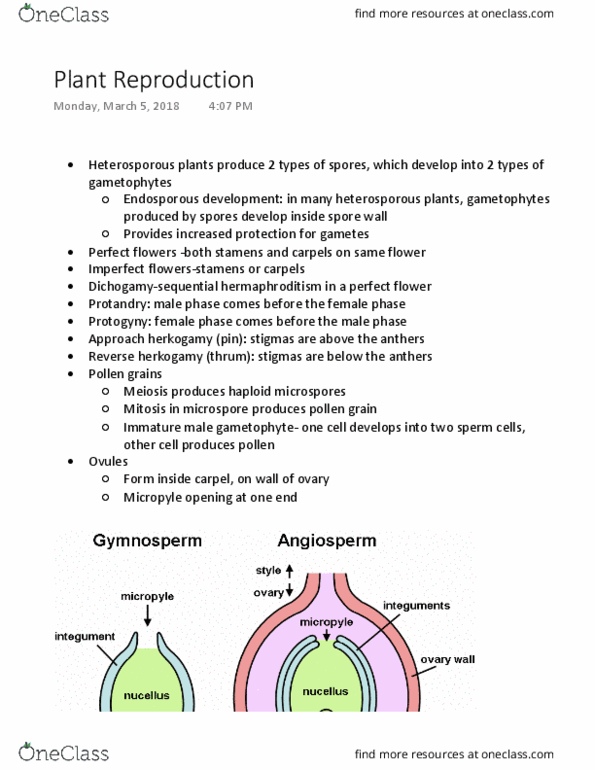 BI111 Lecture Notes - Lecture 8: Plant Reproductive Morphology, Gynoecium, Sequential Hermaphroditism thumbnail
