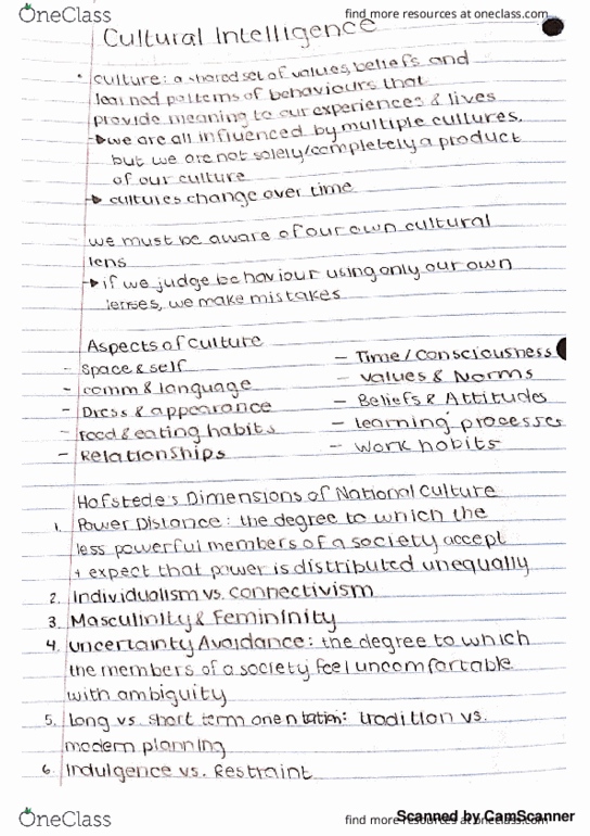 BUSI 3753 Lecture 8: Cultural Intelligence thumbnail