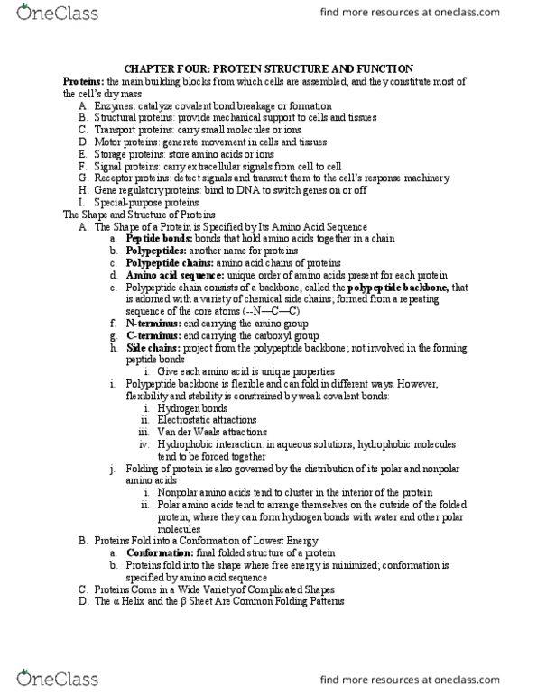 BIL 255 Chapter Notes - Chapter 4: Protein Folding, Amine, Motor Protein thumbnail