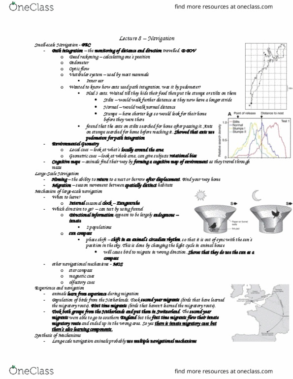 Psychology 2210A/B Lecture Notes - Lecture 8: Path Integration, Pedometer, Earth'S Magnetic Field thumbnail