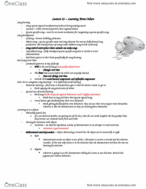 Psychology 2210A/B Lecture Notes - Lecture 21: Bird Vocalization, Song 2 thumbnail