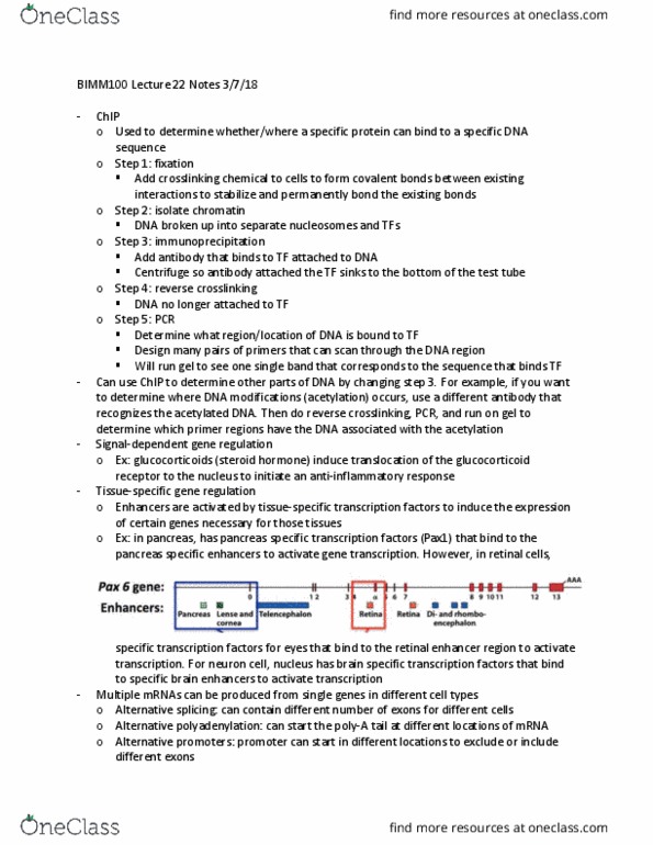 BIMM 100 Lecture Notes - Lecture 22: Glucocorticoid Receptor, Alternative Splicing, Glucocorticoid thumbnail