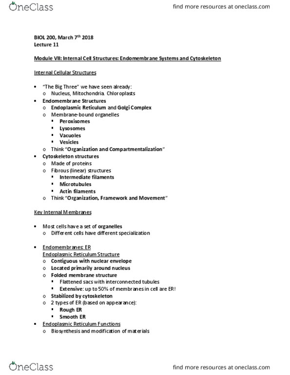 BIOL 200 Lecture Notes - Lecture 11: Endoplasmic Reticulum, Nuclear Membrane, Cytoskeleton thumbnail