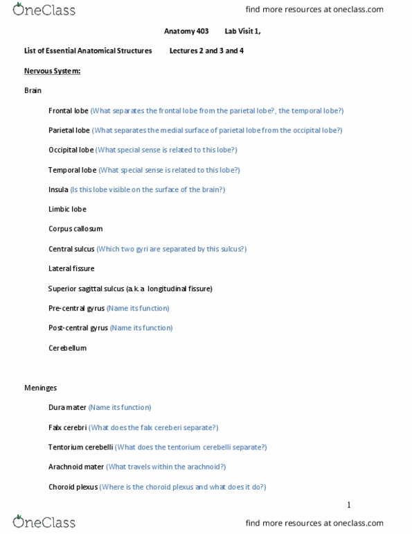 ANATOMY 403 Lecture Notes - Lecture 2: Tentorium Cerebelli, Falx Cerebri, Choroid Plexus thumbnail