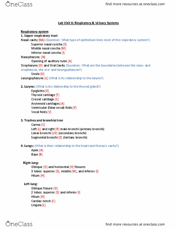 ANATOMY 403 Lecture Notes - Lecture 3: Nasal Concha, Cricoid Cartilage, Thyroid Cartilage thumbnail