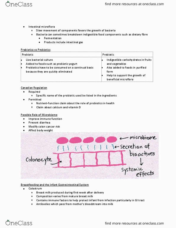 NFS284H1 Lecture Notes - Lecture 6: Breast Milk, Probiotic, Dietary Fiber thumbnail