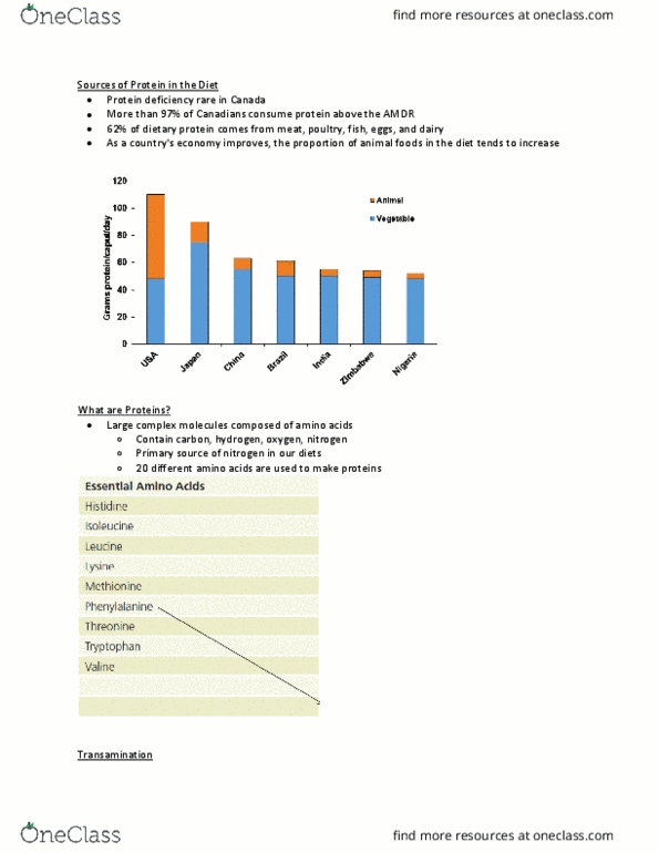 NFS284H1 Lecture Notes - Lecture 11: Transamination, Pepsin, Trypsin thumbnail