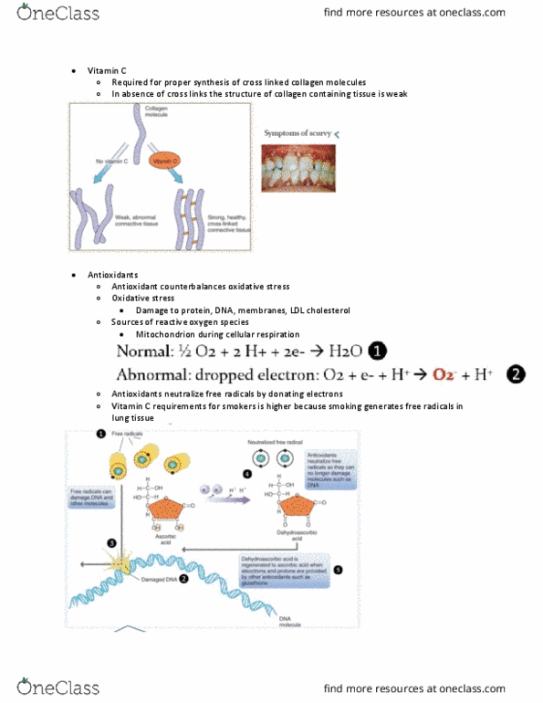 NFS284H1 Lecture Notes - Lecture 7: Low-Density Lipoprotein, Oxidative Stress, Cellular Respiration thumbnail