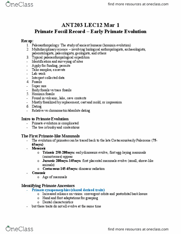 ANT203H5 Lecture Notes - Lecture 12: List Of Fossil Primates, Paleoanthropology, Paleocene thumbnail