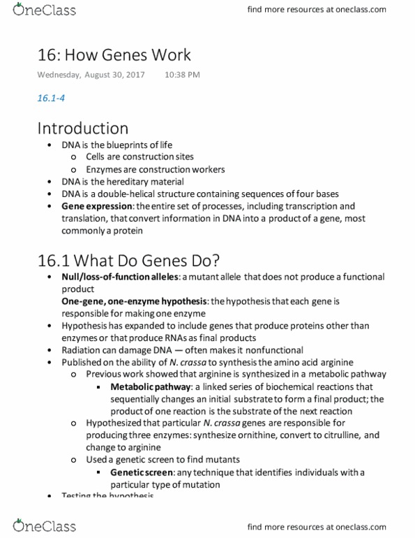 BIOL 142 Chapter Notes - Chapter 16: Genetic Screen, Arginine, Citrulline thumbnail