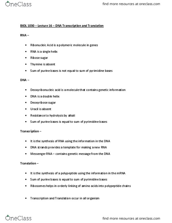 BIOL 1030 Lecture Notes - Lecture 16: Pyrimidine, Purine, Uracil thumbnail