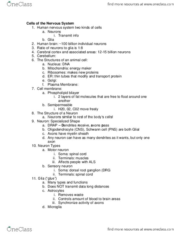 PSB-2000 Lecture Notes - Endothelium, Macrophage, Microglia thumbnail