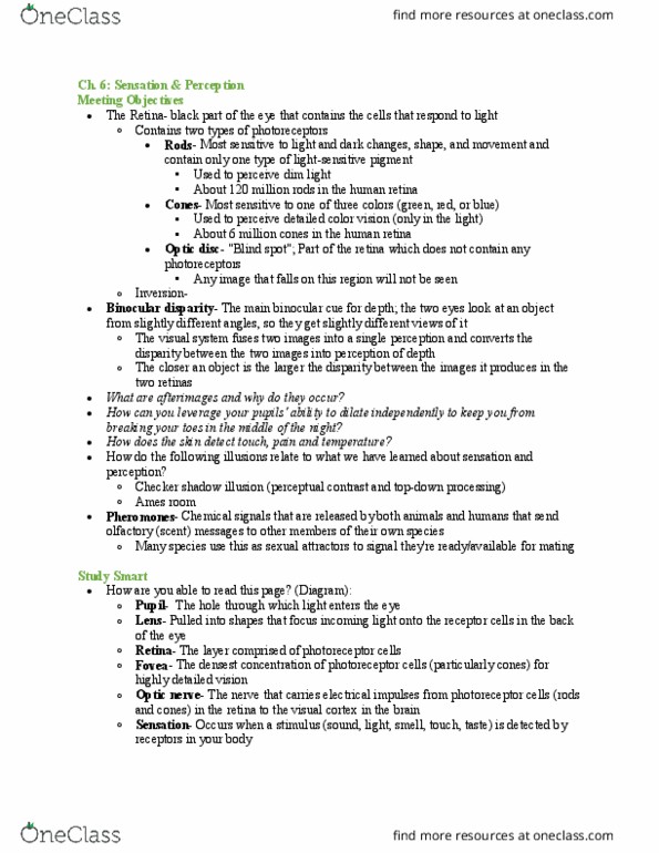 PSYC 100 Chapter Notes - Chapter Ch.6: Checker Shadow Illusion, Binocular Disparity, Optic Disc thumbnail