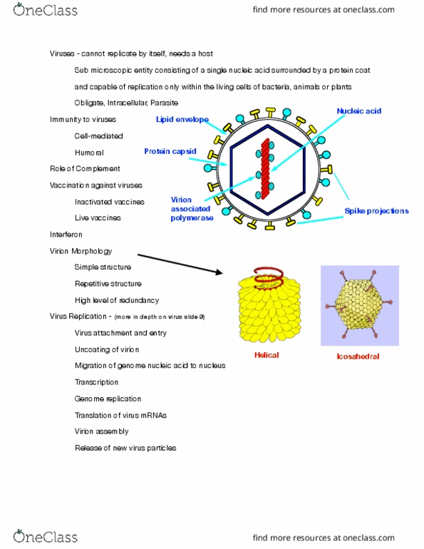 MEDT160 Lecture Notes - Lecture 5: Interferon, Capsid, Poliovirus thumbnail