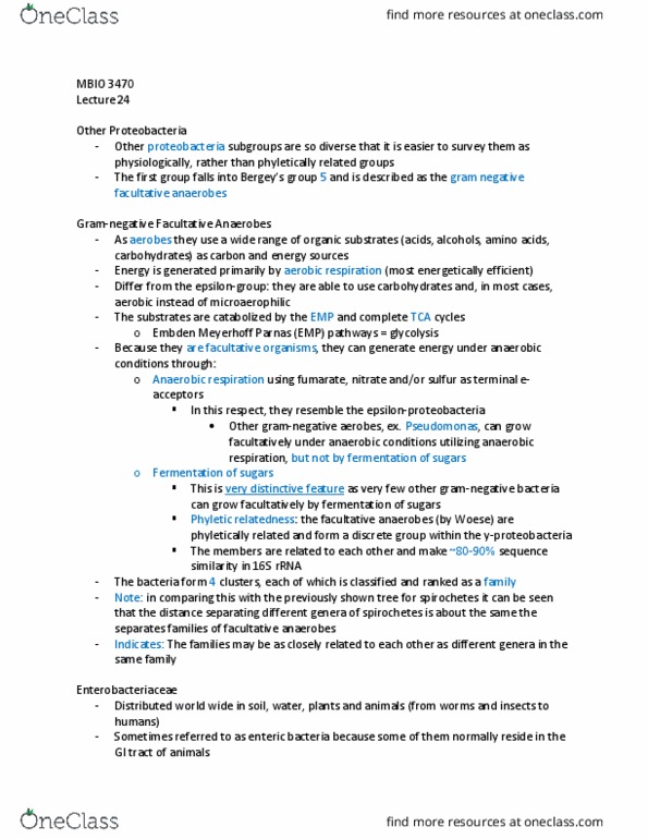 MBIO 3470 Lecture Notes - Lecture 24: Facultative Anaerobic Organism, Proteobacteria, Epsilonproteobacteria thumbnail