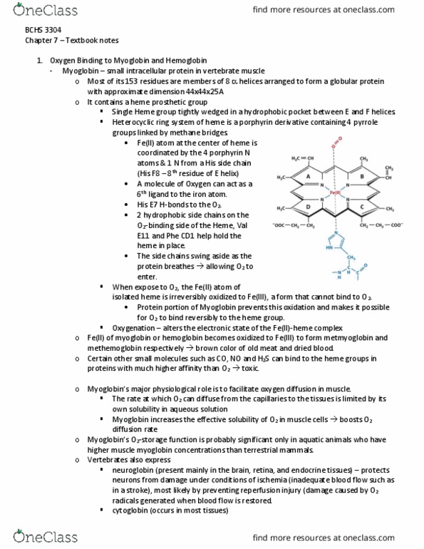 BCHS 3304 Chapter Notes - Chapter 7: Porphyrin, Reperfusion Injury, Cooperative Binding thumbnail