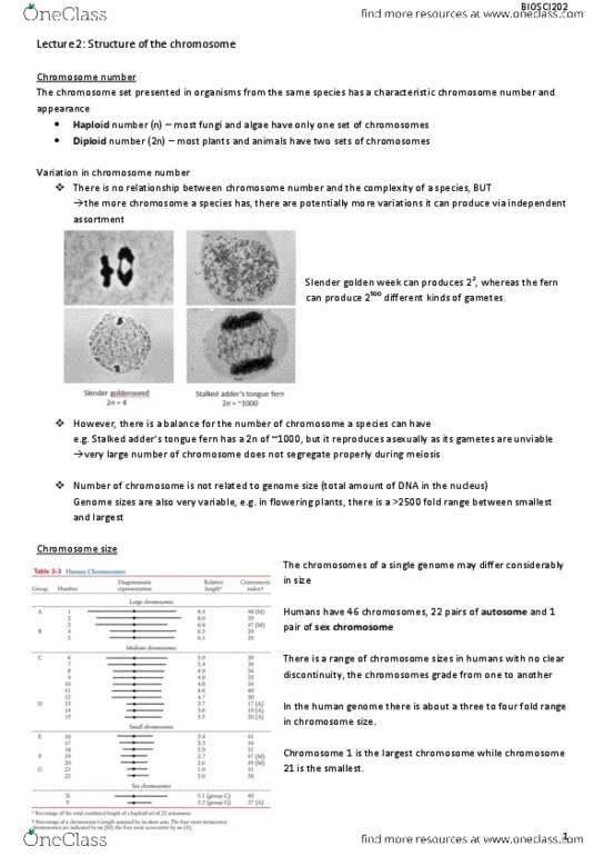 BIOSCI 202 Lecture Notes - Lecture 2: Gc-Content, Polytene Chromosome, Histone H2B thumbnail