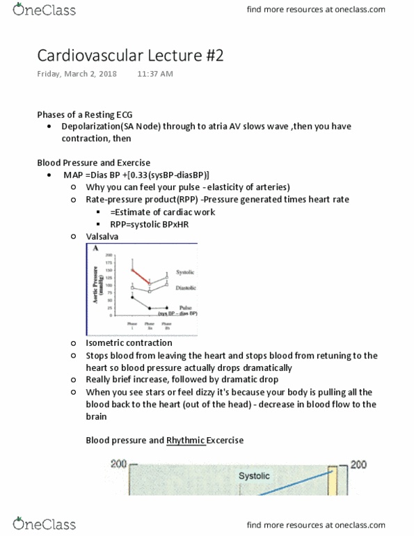 Kinesiology 2230A/B Lecture Notes - Lecture 20: Heart Rate, Stroke Volume, Cardiac Muscle thumbnail