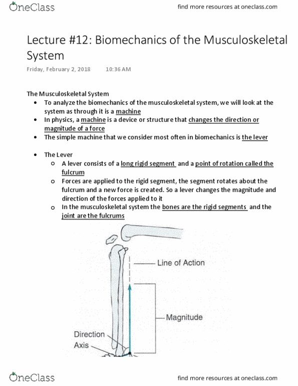 Kinesiology 2241A/B Lecture Notes - Lecture 12: Human Musculoskeletal System, Simple Machine, Ankle thumbnail