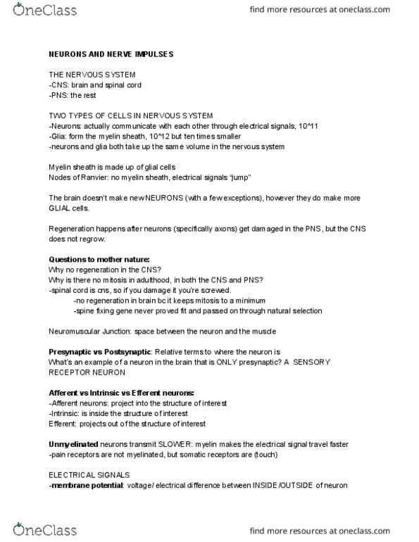 PSYC 106 Lecture Notes - Lecture 2: Membrane Potential, Neuroglia, Myelin thumbnail