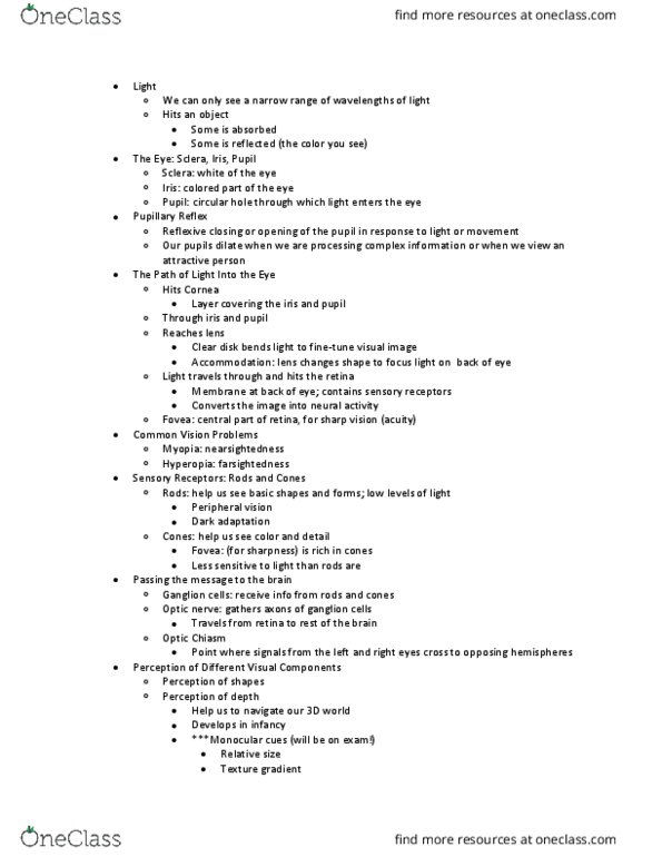 PSYCH 1100 Lecture Notes - Lecture 5: Ganglion Cell, Optic Nerve, Peripheral Vision thumbnail