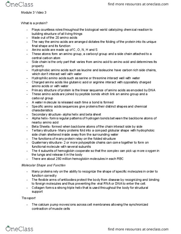 BIOCHEM 2EE3 Lecture Notes - Lecture 3: Alpha Helix, Beta Sheet, Carboxylic Acid thumbnail