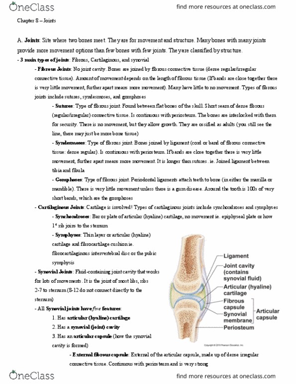 BIO 105 Chapter Notes - Chapter 8: Dense Irregular Connective Tissue, Synovial Joint, Fibrous Joint thumbnail