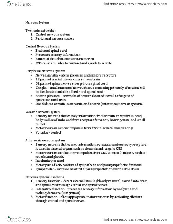 HTHSCI 1H06 Chapter Notes -Hindbrain, Arachnoid Granulation, Central Canal thumbnail