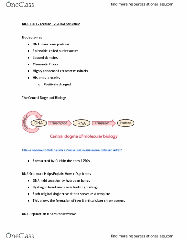 BIOL 1001 Lecture Notes - Lecture 11: Dna Polymerase, Dna Replication, Semiconservative Replication thumbnail