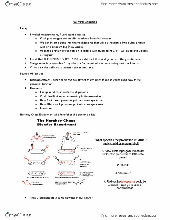 Microbiology and Immunology 2500A/B Lecture Notes - Lecture 11: Intracellular Parasite, Fluorescent Tag, Infant Mortality thumbnail