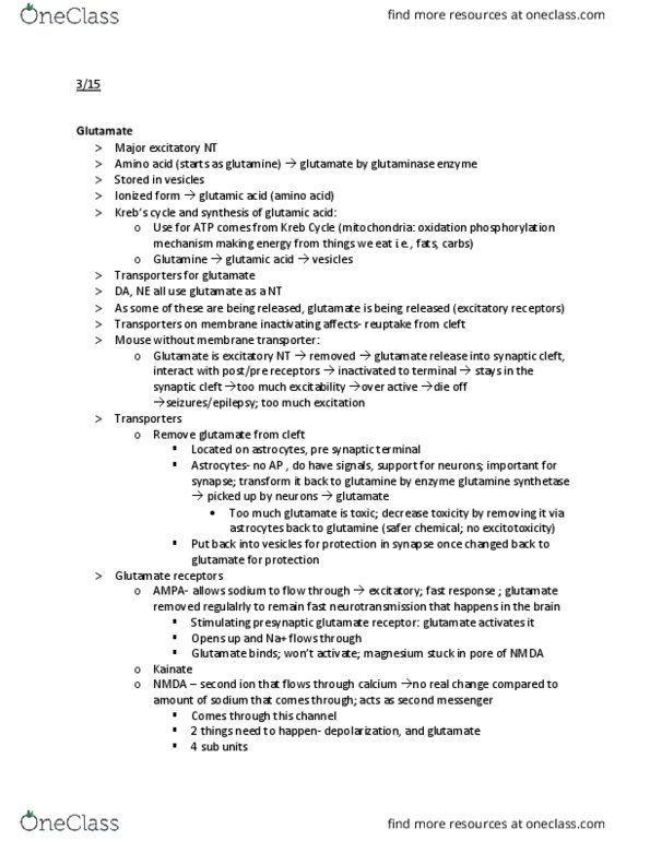 PSYC414 Lecture Notes - Lecture 11: Glutamine Synthetase, Nmda Receptor, Glutamate Receptor thumbnail