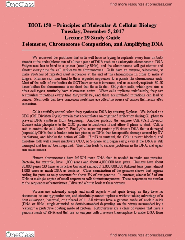 BIOL 150 Lecture Notes - Lecture 29: Dna Polymerase, Telomerase, Reverse Transcriptase thumbnail