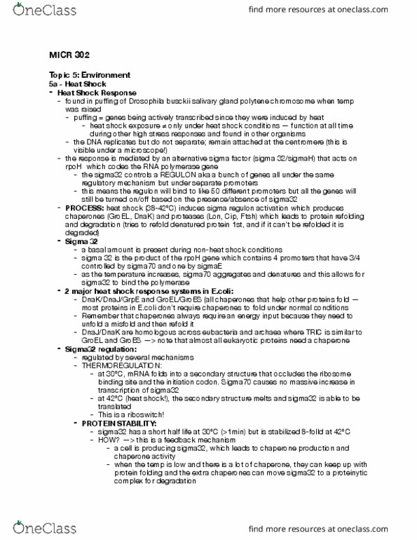 MICR 302 Lecture Notes - Lecture 1: Regulon, Polytene Chromosome, Groel thumbnail