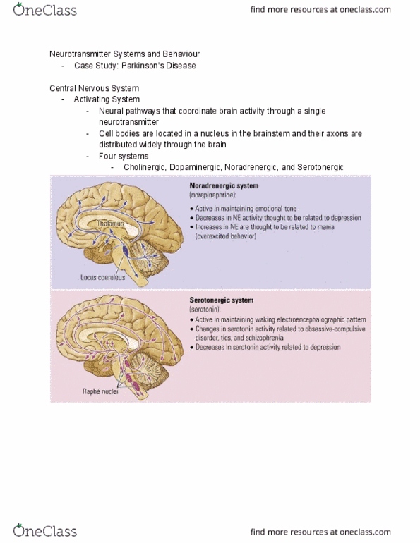 PSY 2301 Lecture Notes - Lecture 12: Central Nervous System, Serotonergic, Dopaminergic thumbnail