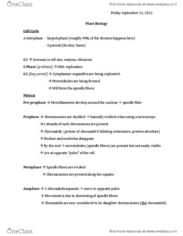 BIOL 1130 Lecture Notes - Cell Plate, Synapsis, Cell Wall thumbnail