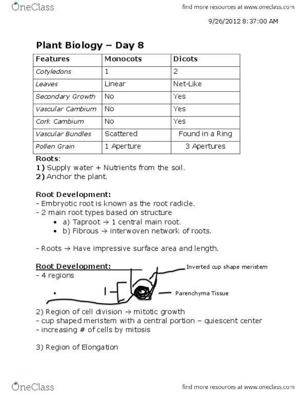 BIOL 1130 Lecture Notes - Suberin, Active Transport, Casparian Strip thumbnail