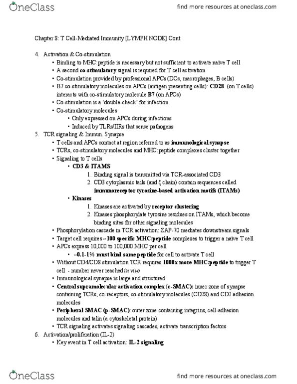 CAS BI 385 Lecture Notes - Lecture 16: Antigen-Presenting Cell, Immunological Synapse, Co-Stimulation thumbnail