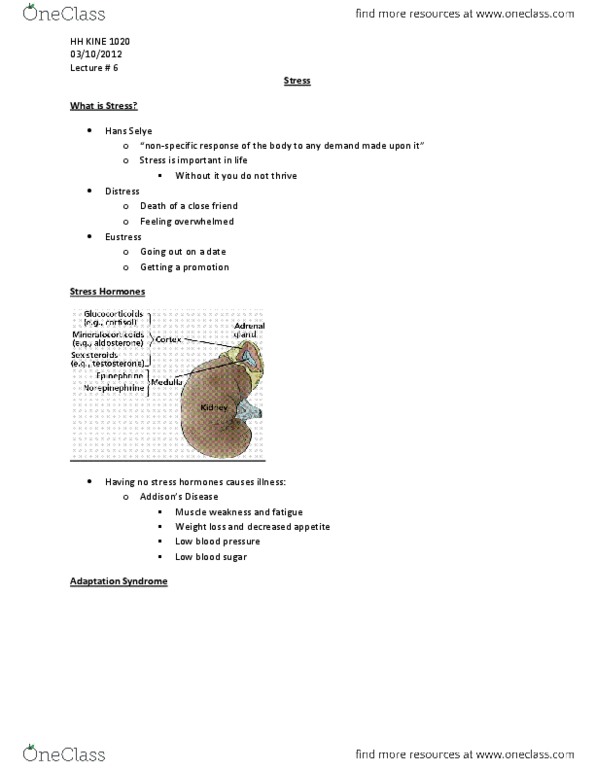 KINE 1020 Lecture Notes - Glucocorticoid, Homeostasis, Negative Feedback thumbnail
