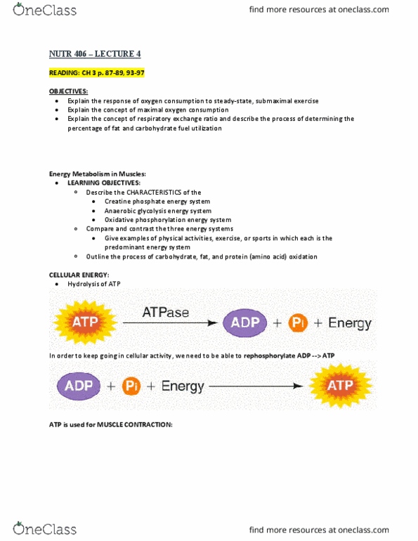 NUTR 406 Lecture Notes - Lecture 4: Phosphocreatine, Anaerobic Glycolysis, Oxidative Phosphorylation thumbnail