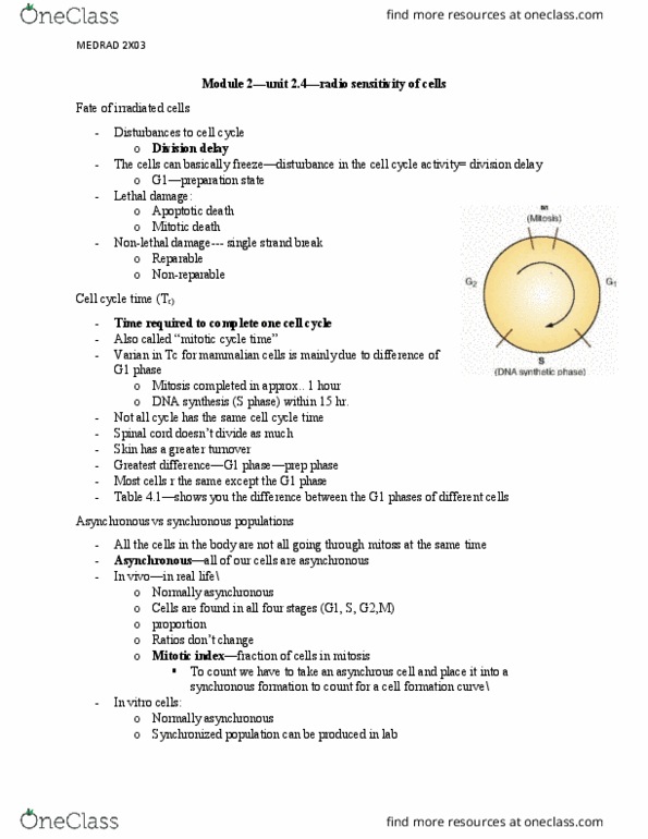 MEDRADSC 2X03 Lecture Notes - Lecture 7: G1 Phase, Spinal Cord, S Phase thumbnail