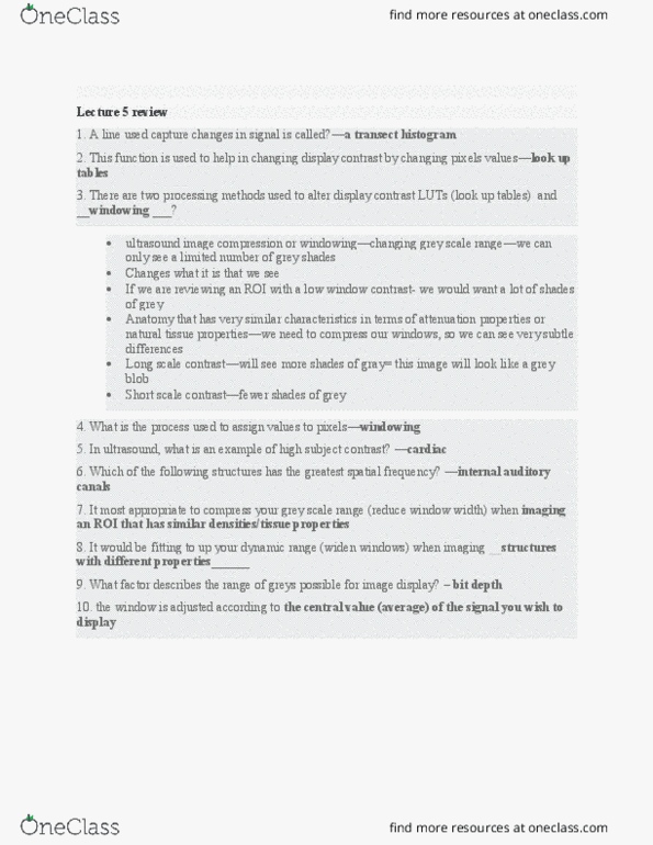 MEDRADSC 2BB3 Lecture Notes - Lecture 5: Display Contrast, Long And Short Scales, Spatial Frequency thumbnail